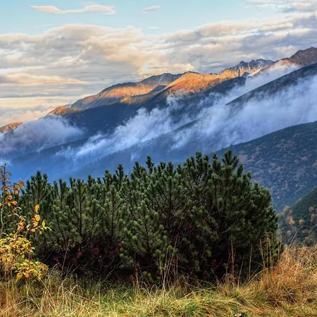 Goscinne Szy & Mon 3*