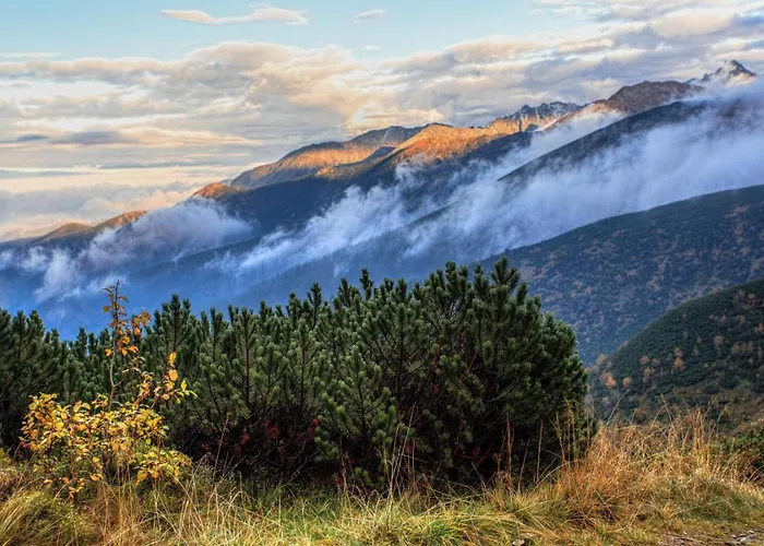 Goscinne Szy & Mon 3*